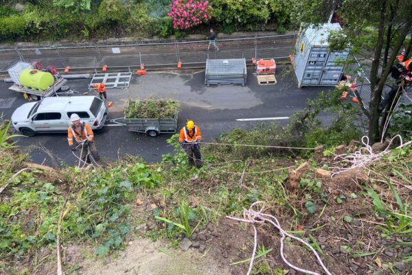 pro_civil_dunedin_Sawyers Bay and Carr Street Projects on Track_10