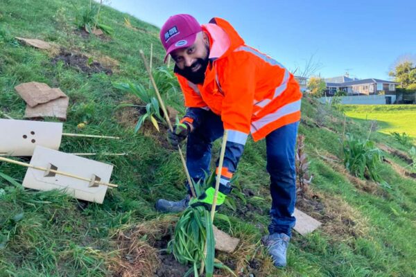 pro_civil_infrastructure_tree_planting_3